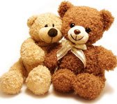 Teddy Bear & Toys