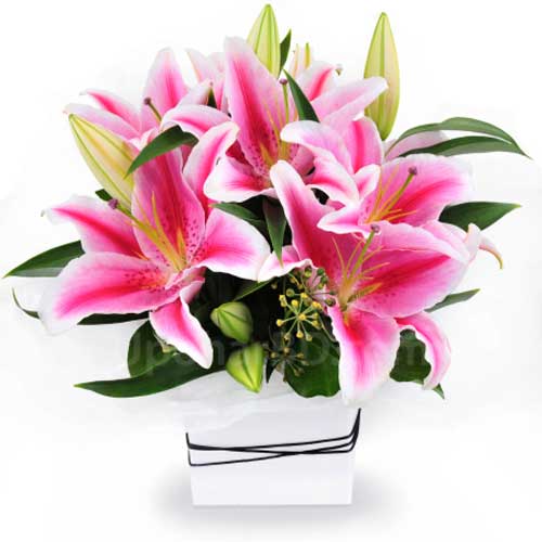 Order Lily flower for loved one - Lily in elegant vase - Fresh Flower ...