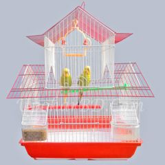 Pair of Budgerigar bird with cage